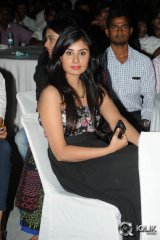 Ala Ela Movie Audio Launch